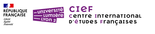 logo-Centre international d’études françaises - chinois